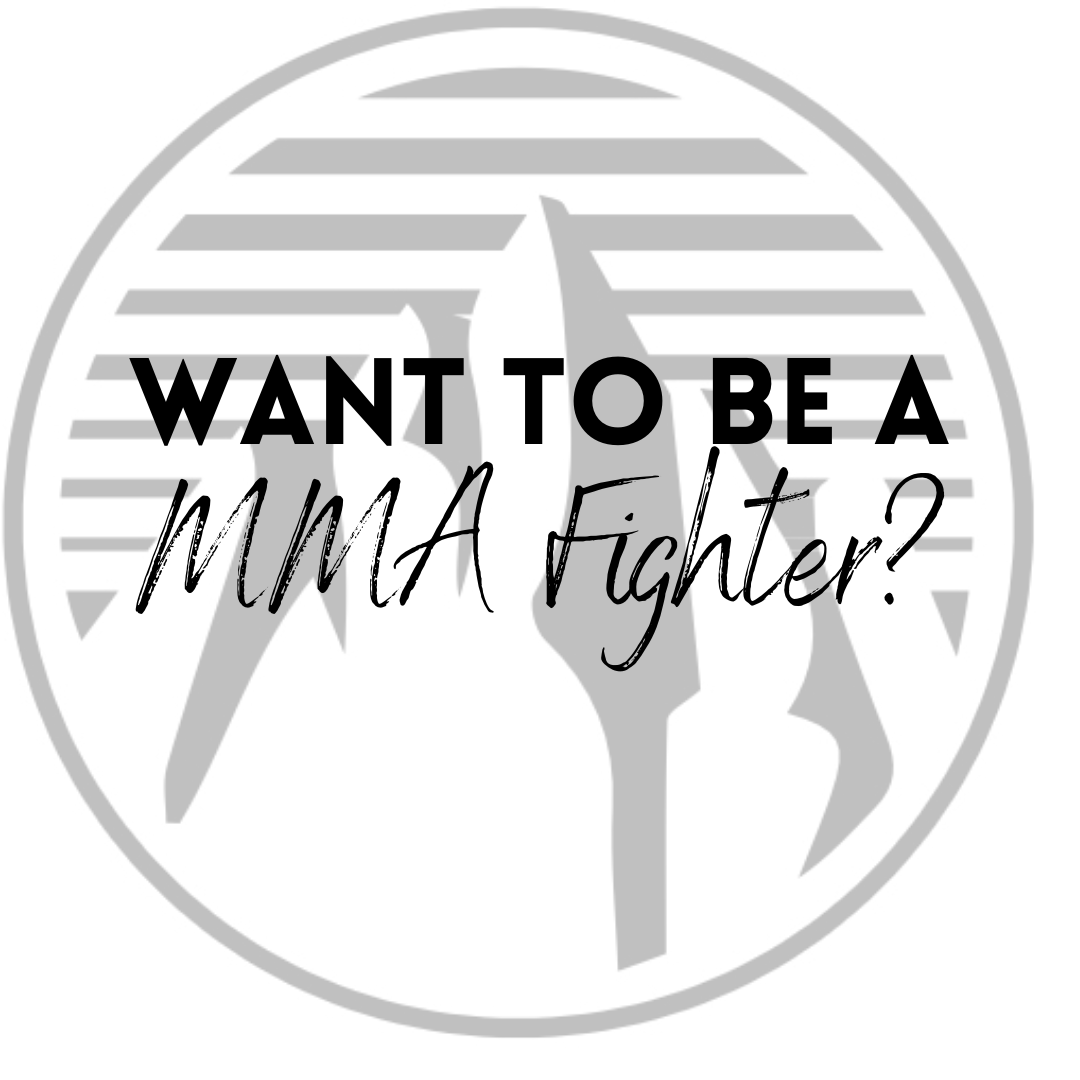 i-want-to-be-a-mixed-martial-arts-mma-fighter-do-i-need-to-learn