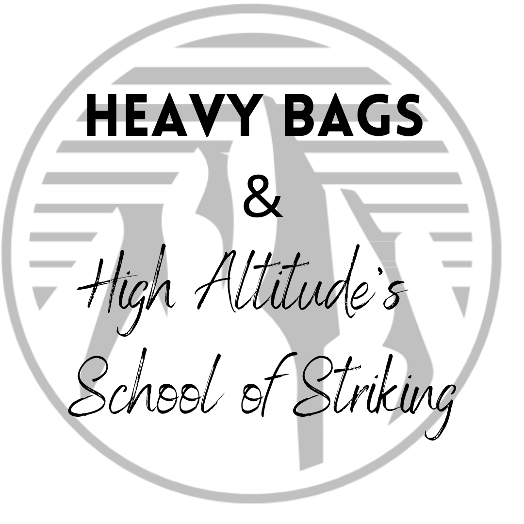 why-don-t-you-use-heavy-bags-in-striking-kickboxing-classes-at-high