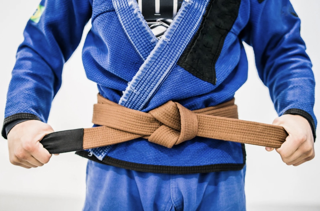 BJJ Blue Belt for Everyday - All Jiu Jitsu Belt Colors, Cool Jiu Jitsu Gift