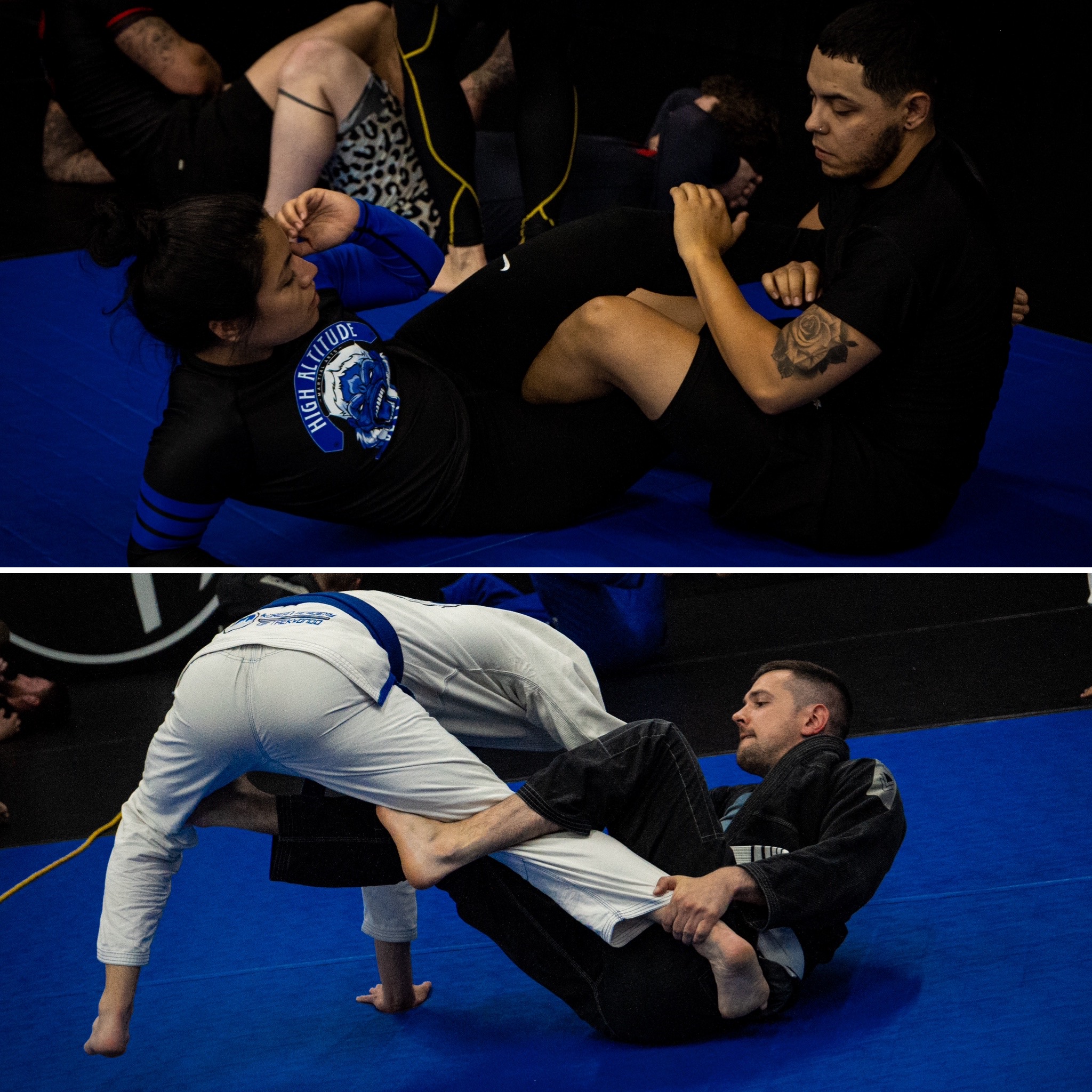 What Should I Wear For BJJ Class? (Gi and No-Gi) - High Altitude Martial  Arts